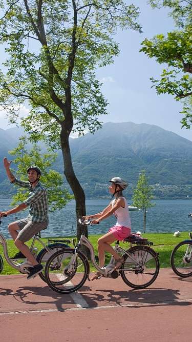 Biciclette a disposizione