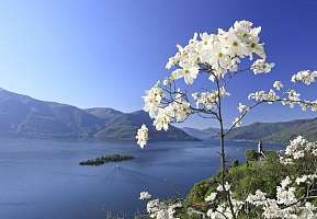 Isole di Brissago Lago Maggiore foto Christof Sonderegger